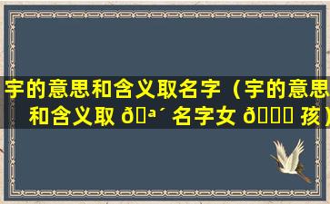 宇的意思和含义取名字（宇的意思和含义取 🪴 名字女 🐛 孩）